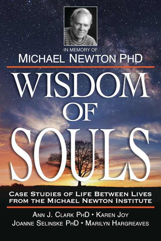 Wisdom of Souls - The Newton Institute knyga | Llewellyn