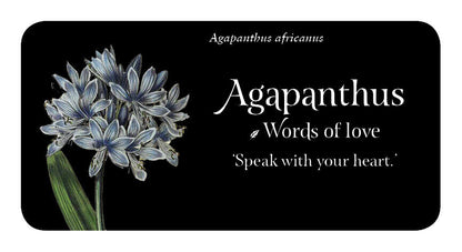 The Language of Flowers - gėlių įkvėpimo kortos | Rockpool