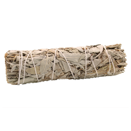 White Sage - baltojo šalavijo smilkymo ryšulėlis | Ancient Wisdom
