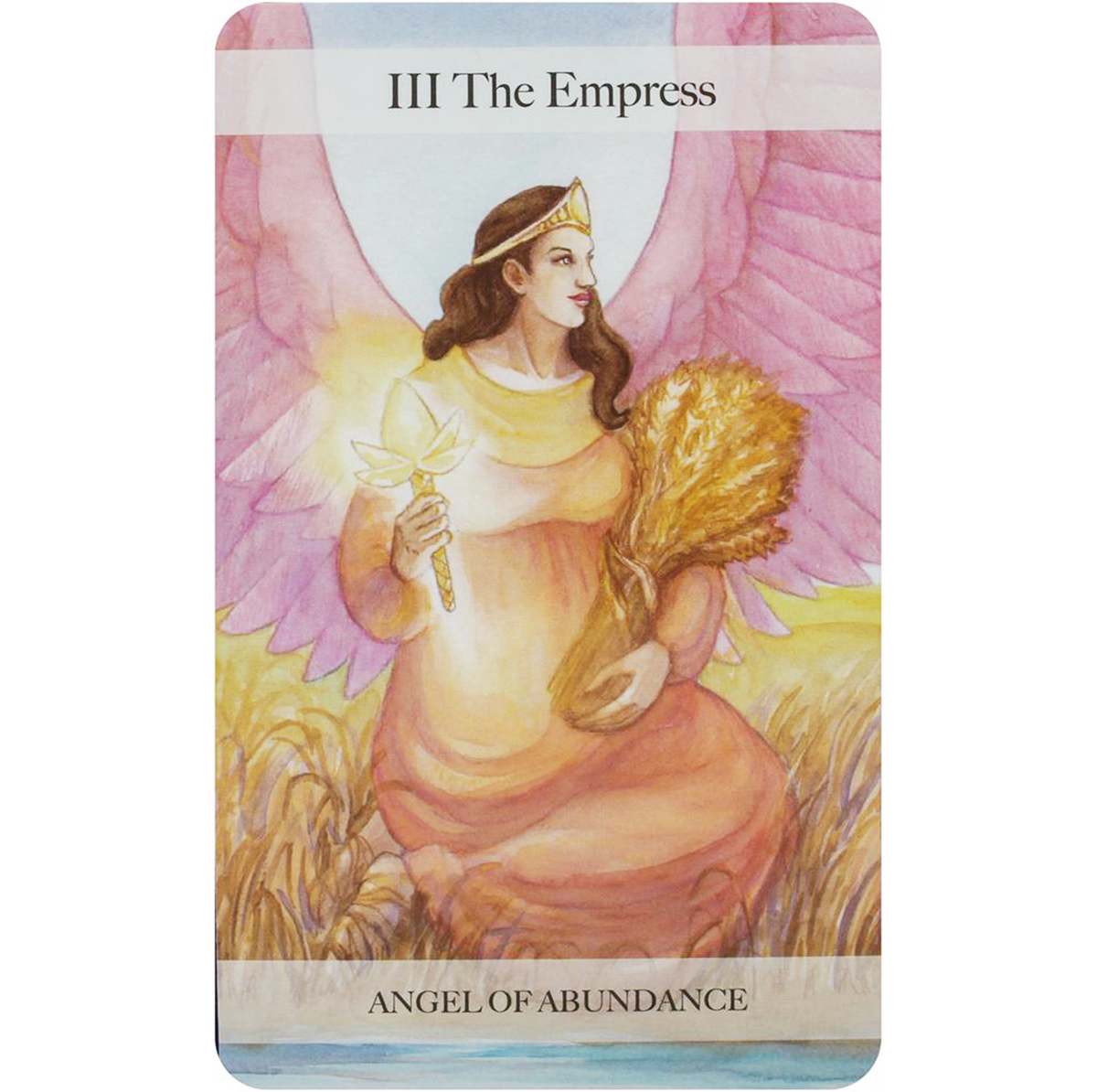 The Angel Tarot - angelų taro kortos | Cico Books