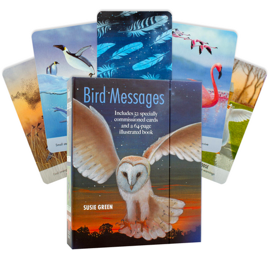 Bird Messages - paukščių orakulo kortos | CICO Books