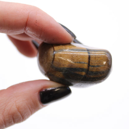 Tigers Eye Variegated Medium African - akmenys, apie 12 vnt.