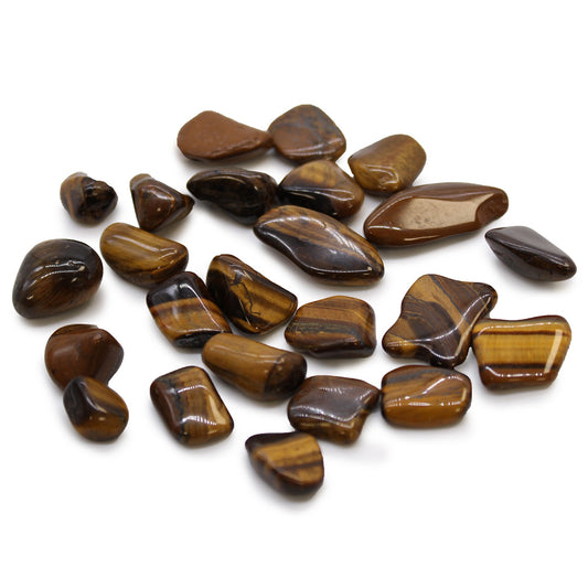 Tiger Eye Golden Small African - tigro akies akmenys, apie 24 vnt.