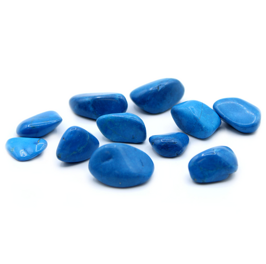 Blue Howlite Large - mėlyni haulitai, 24 vnt.