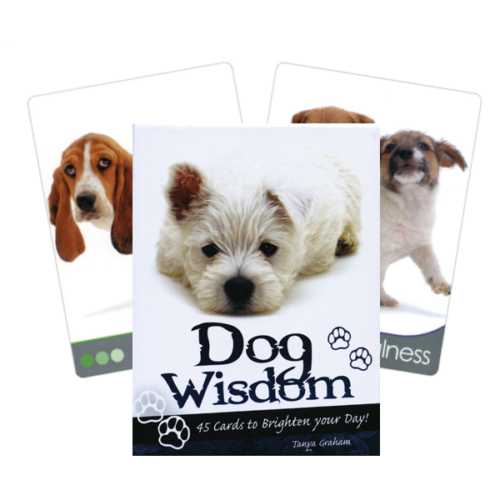 Dog Wisdom - šunų įkvėpimo kortos | Blue Angel