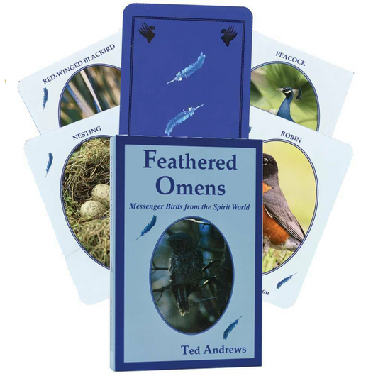 Feathered Omens - paukščių orakulo kortos | Dragonhawk Publishing