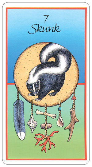 Medicine Cards - gyvūnų kortų ir knygos rinkinys