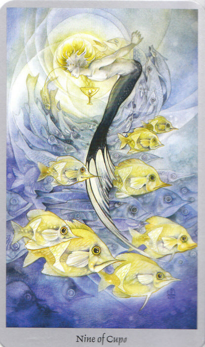 Shadowscapes Tarot - fantastinės taro kortos | Llewellyn