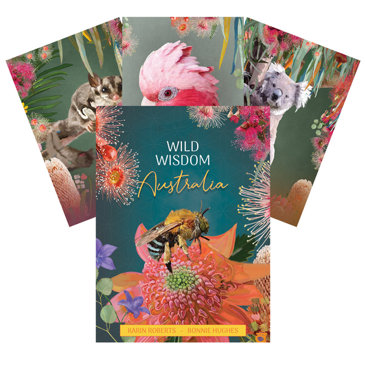 Wild Wisdom Australia Oracle - gyvūnų kortos | Blue Angel