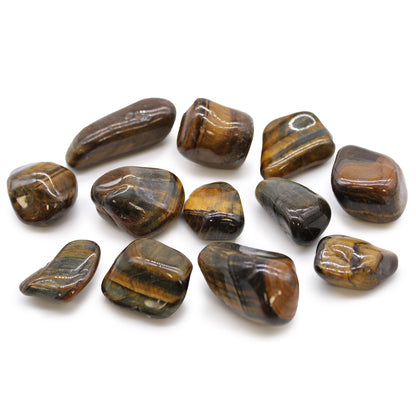 Tigers Eye Variegated Medium African - akmenys, apie 12 vnt.