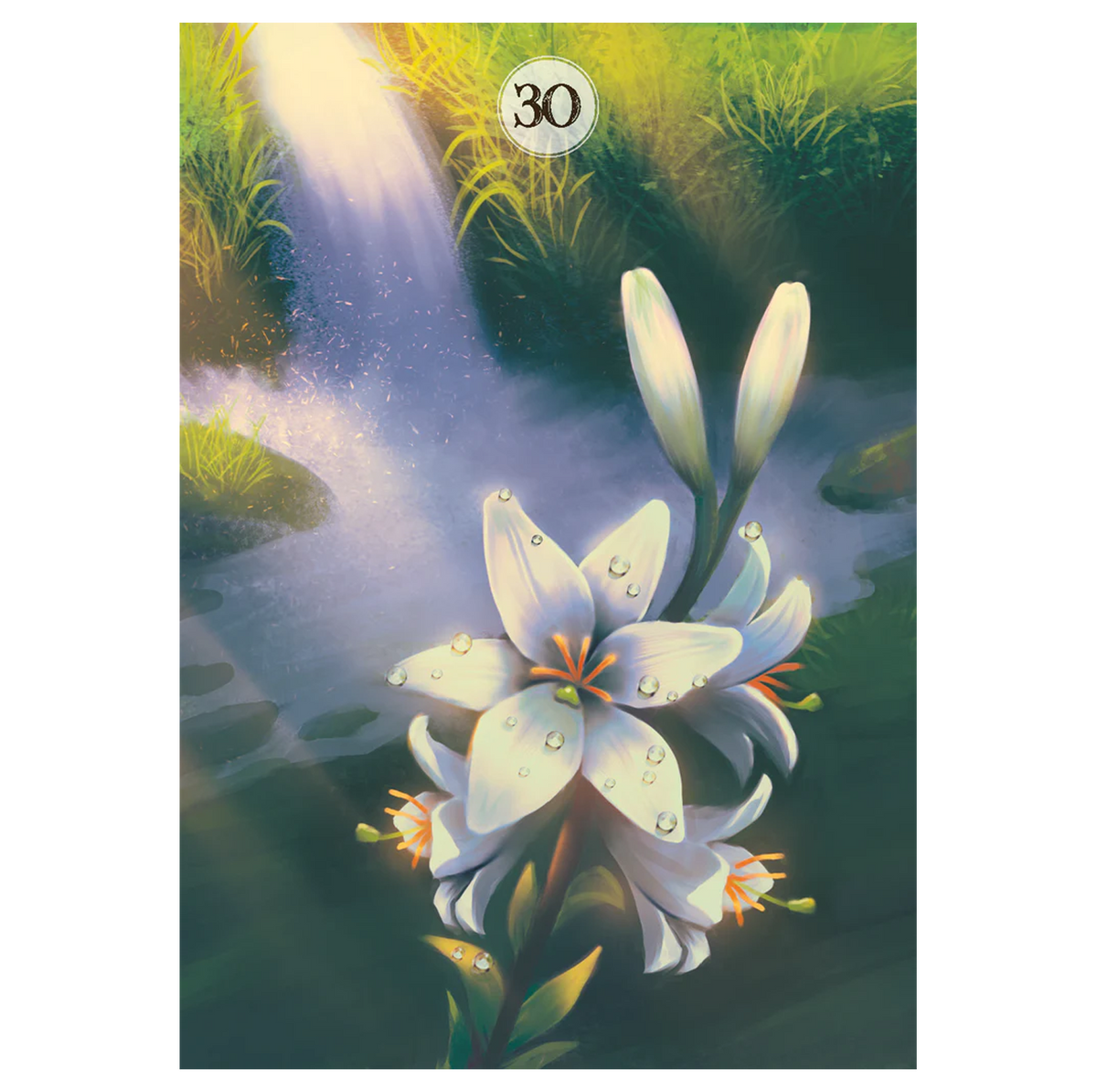 Herbs and Plants Lenormand - orakulo kortos | Lo Scarabeo