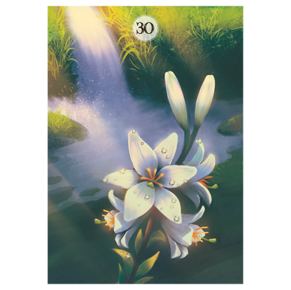 Herbs and Plants Lenormand - orakulo kortos | Lo Scarabeo