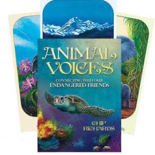 Animal Voices - gyvūnų orakulo kortos vaikams