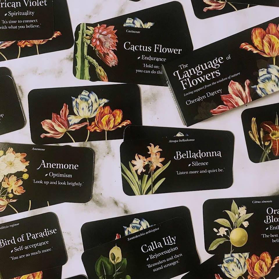 The Language of Flowers - gėlių įkvėpimo kortos | Rockpool