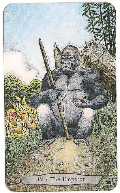Animal Totem Tarot - gyvūnų taro kortos