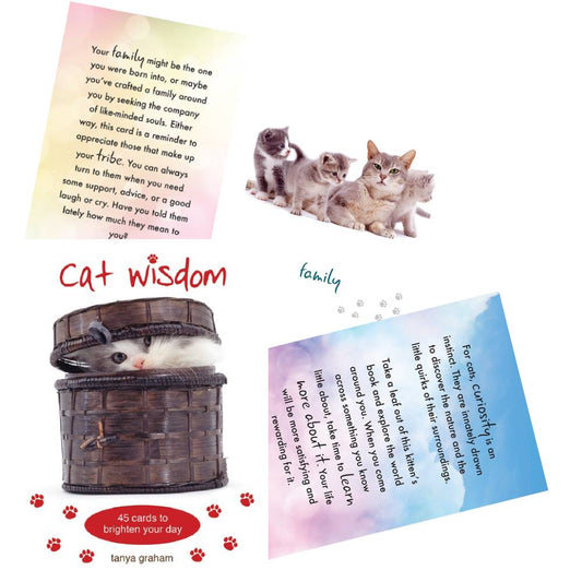 Cat Wisdom - kačių orakulo kortos | Blue Angel