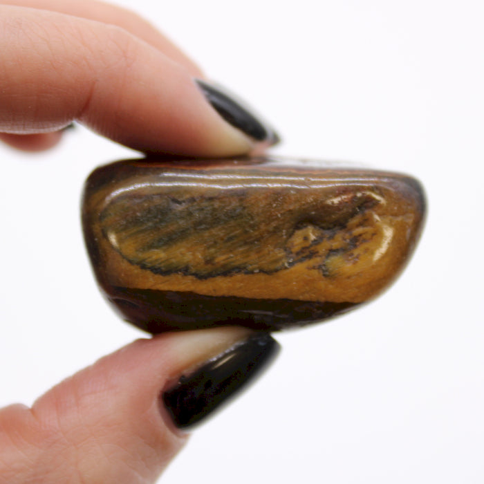Large African Tumble Stones (6x) -Tigers Eye - Variegated Ancient Wisdom