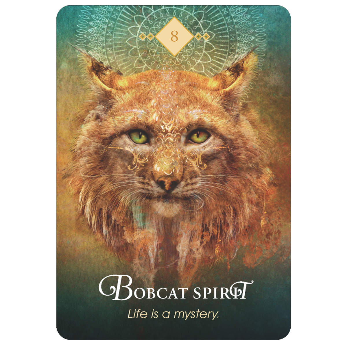 The Spirit Animal Oracle - gyvūnų orakulo kortos