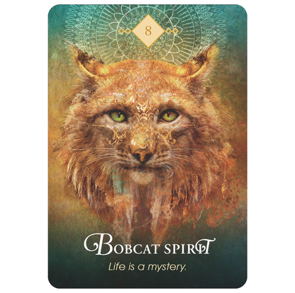 The Spirit Animal Oracle - gyvūnų orakulo kortos