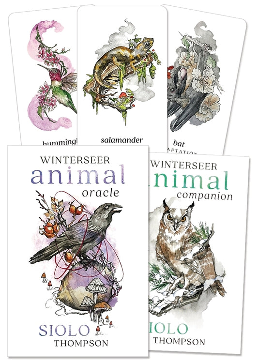 Winterseer Animal Oracle - šiaurės gyvūnų kortos | Llewellyn