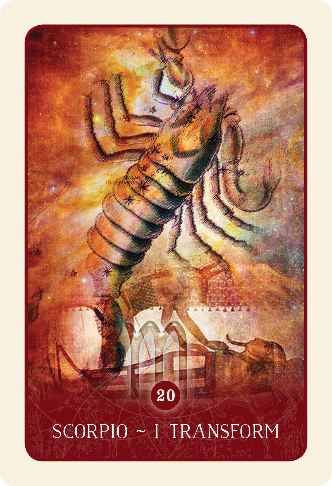 Black Moon Astrology Cards - astrologinės kortos