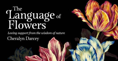 The Language of Flowers - gėlių įkvėpimo kortos | Rockpool