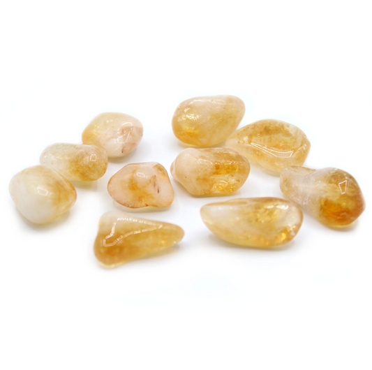 Citrine Quartz A Grade Large - gludinti citrinai, 24 vnt.