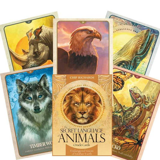 The Secret Language of Animals - orakulo kortos