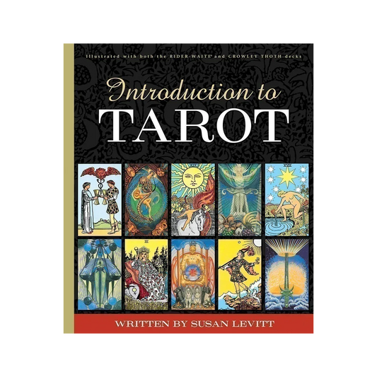 Introduction to Tarot - Susan Levitt knyga | US Games Systems