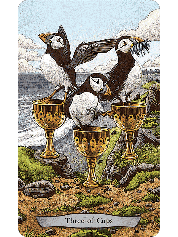 Animal Totem Tarot - gyvūnų taro kortos